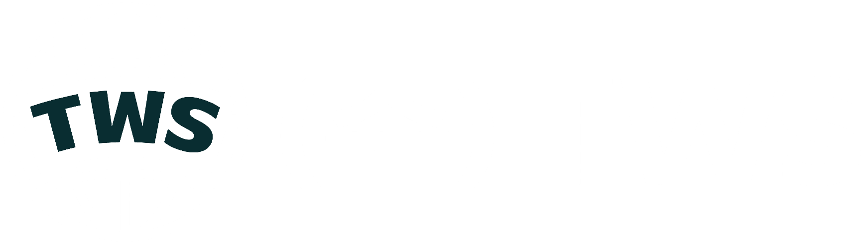 주식회사 티더블유에스